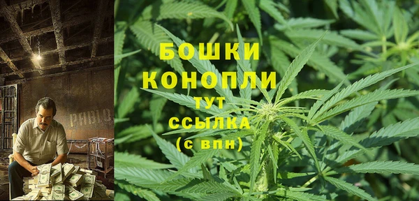 мдпв Медногорск