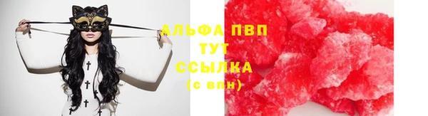 прущие крисы Мегион