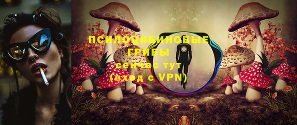 прущие крисы Мегион