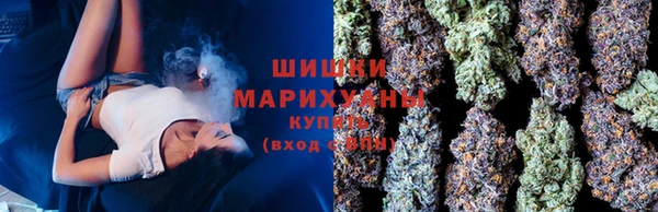 мдпв Медногорск