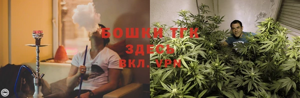 прущие крисы Мегион