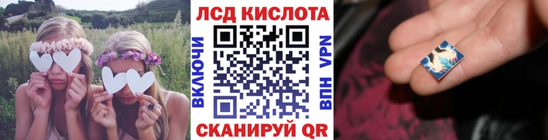 дарнет шоп  Шагонар  Наркотические марки 1,5мг 