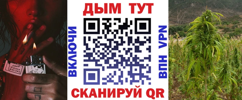 Бошки Шишки марихуана Шагонар